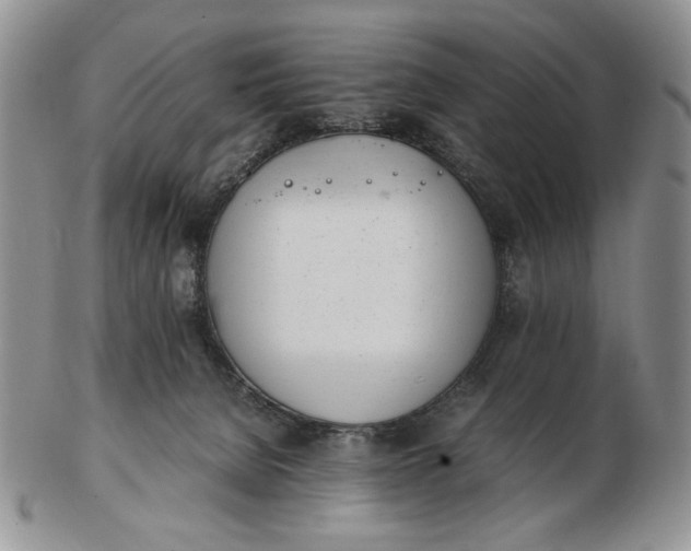 X0000102760080200809021016