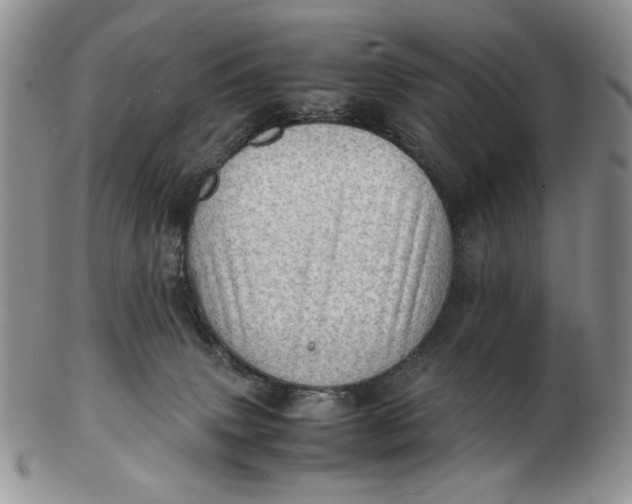 X0000102760083200809021016