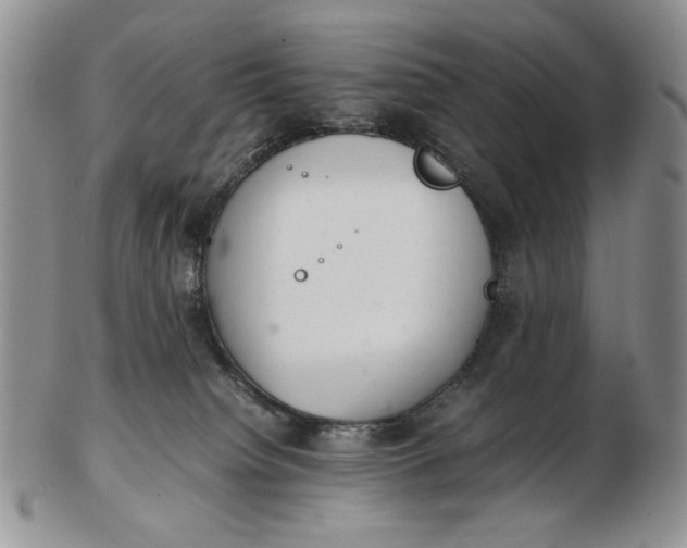 X0000102760084200809021016