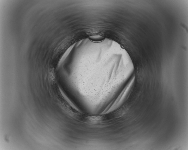 X0000102760085200809021016