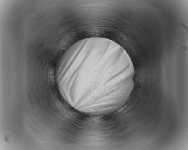 X0000102760086200809021016