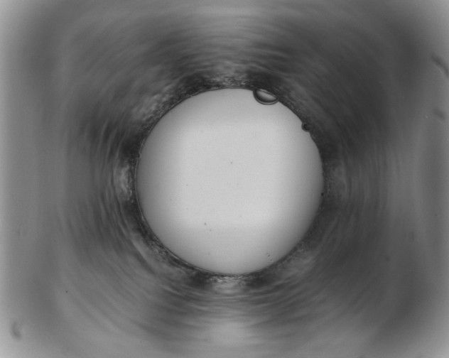 X0000102760088200809021016