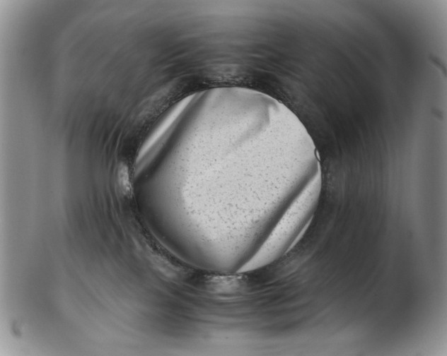 X0000102760089200809021016