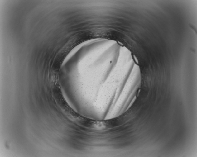 X0000102760091200809021016