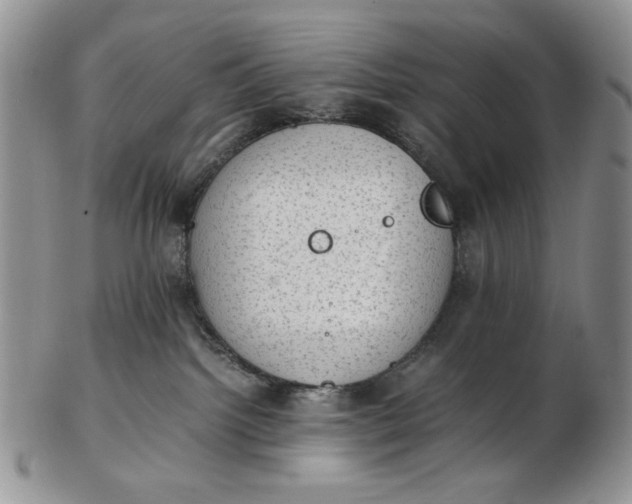 X0000102760092200809021016