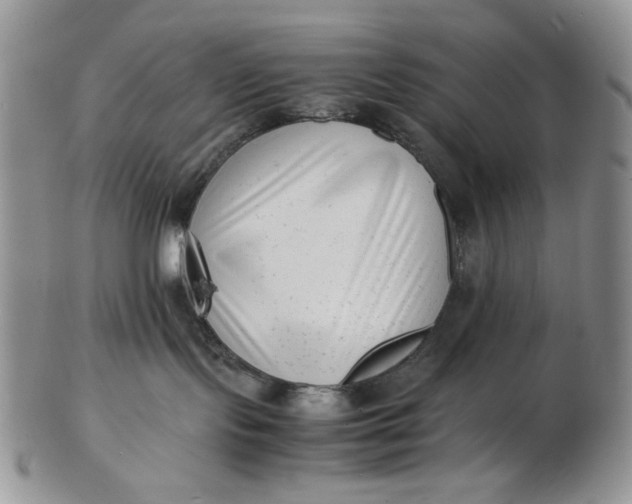 X0000102760095200809021017