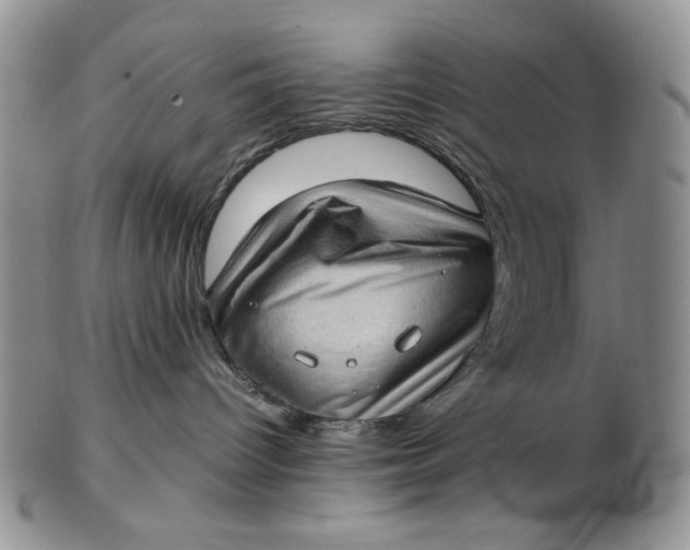 X0000102760096200809021017