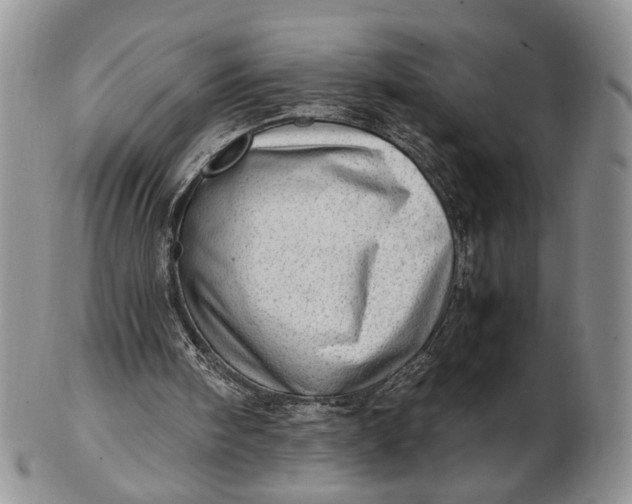 X0000102760098200809021016