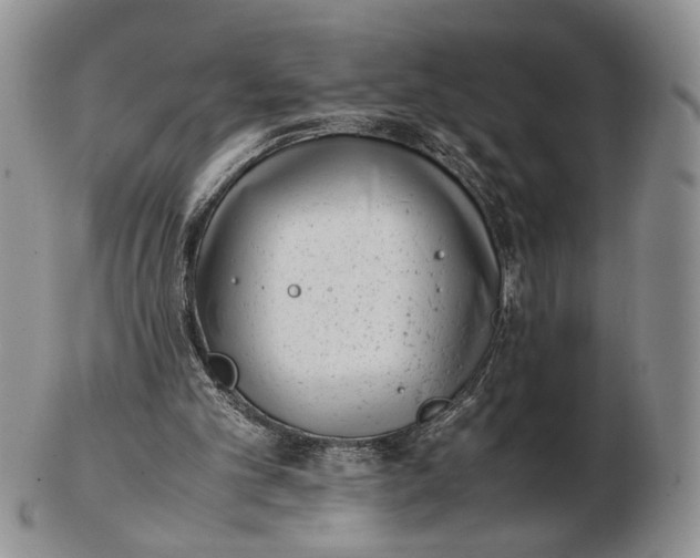 X0000102760101200809021016