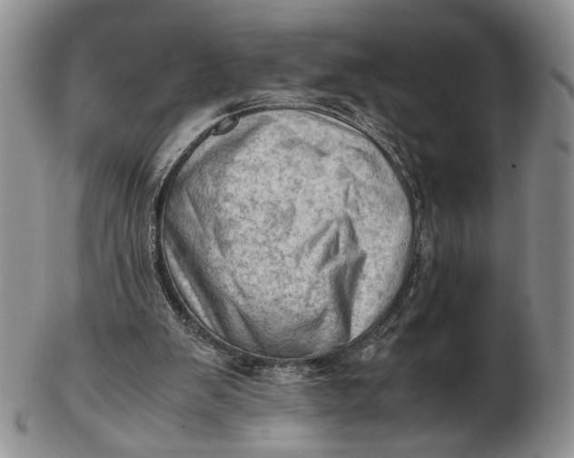 X0000102760103200809021016