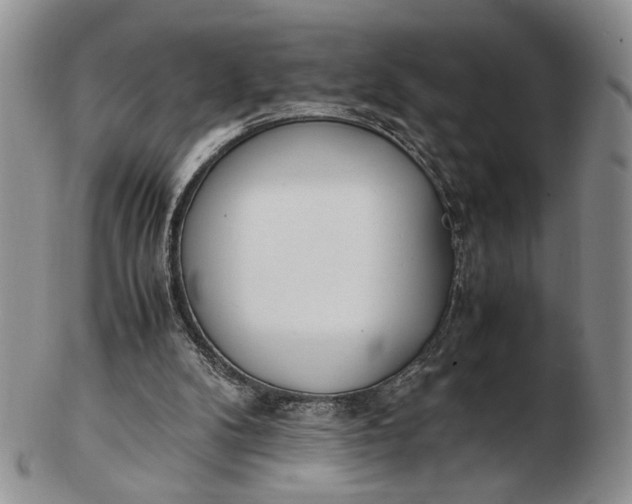 X0000102760104200809021016