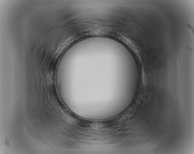 X0000102760105200809021016