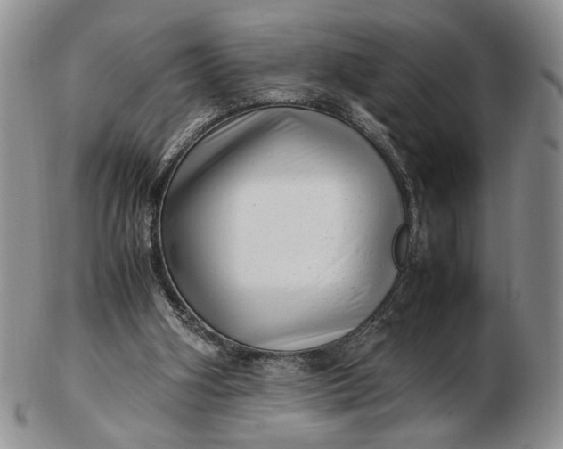 X0000102760106200809021016