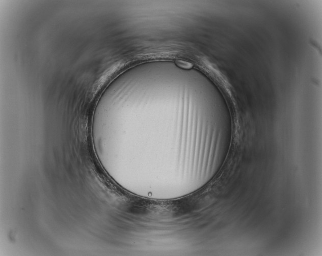 X0000102760107200809021016