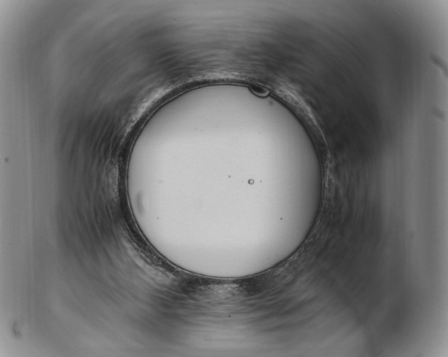 X0000102760108200809021016