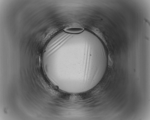 X0000102760109200809021016