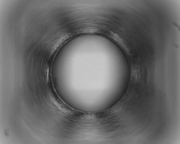 X0000102760110200809021016