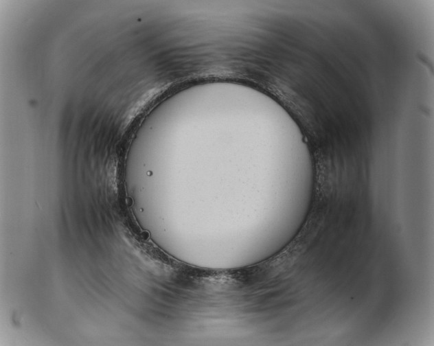 X0000102760112200809021016