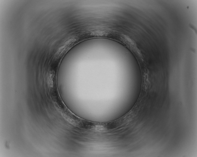 X0000102760114200809021016