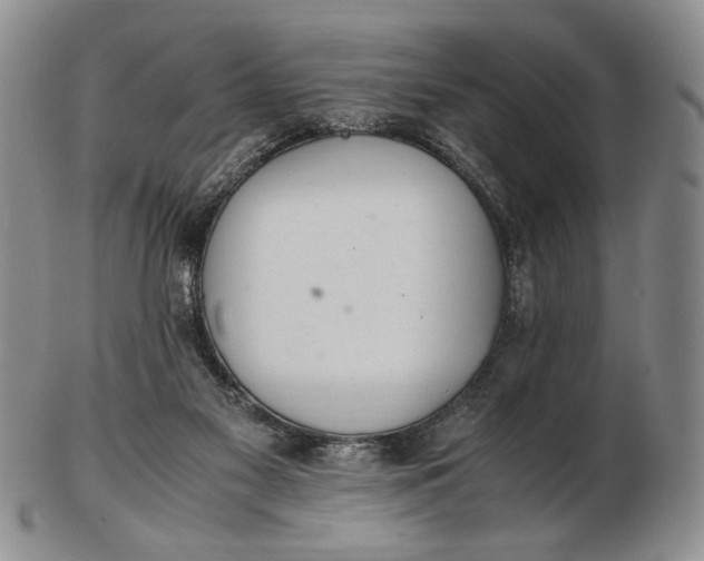 X0000102760117200809021016