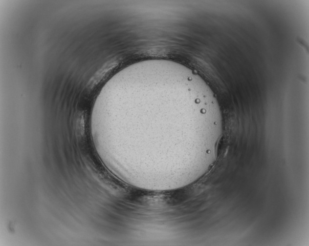 X0000102760120200809021016