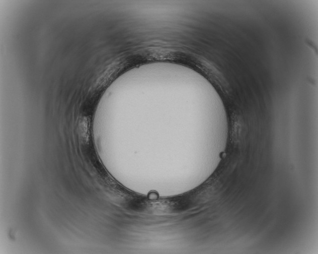 X0000102760121200809021016