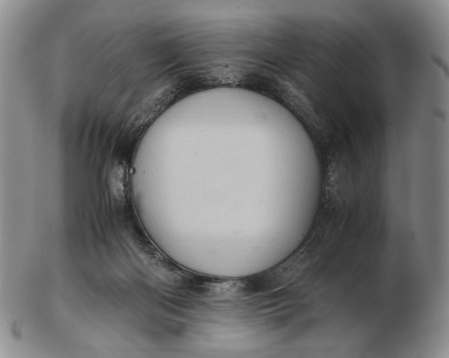 X0000102760122200809021016