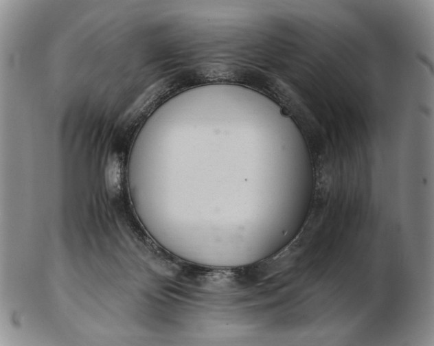 X0000102760124200809021015