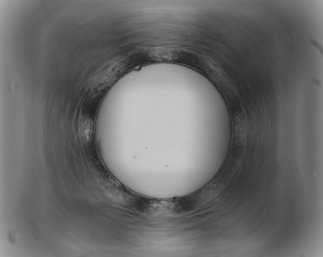 X0000102760125200809021015