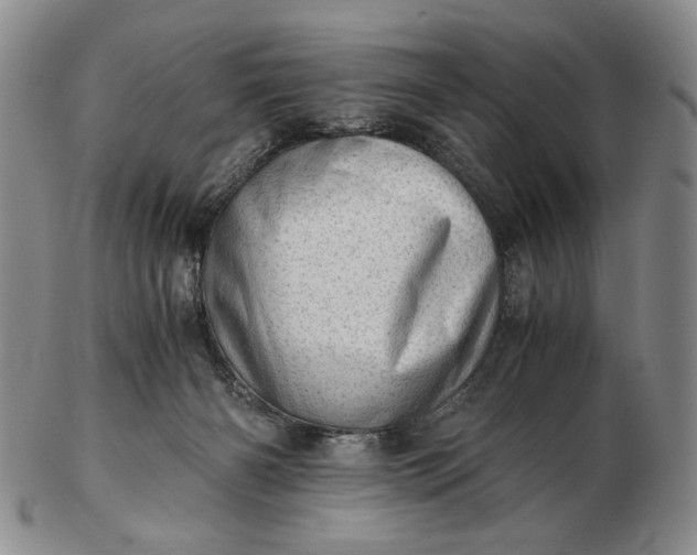 X0000102760126200809021015