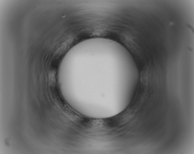 X0000102760127200809021015