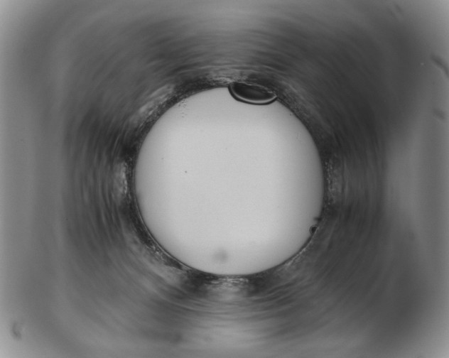 X0000102760128200809021015