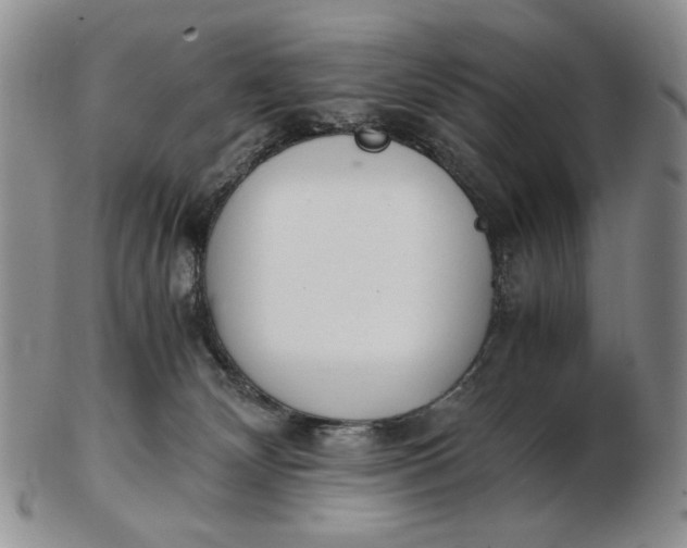 X0000102760132200809021015