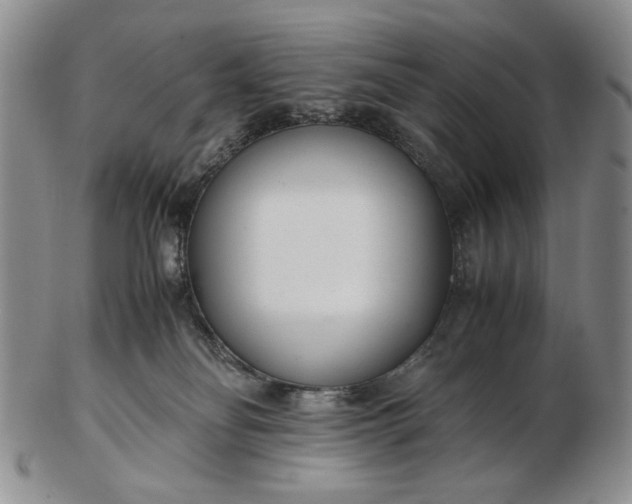 X0000102760134200809021015