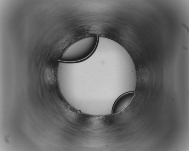 X0000102760136200809021015