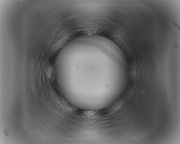 X0000102760139200809021015