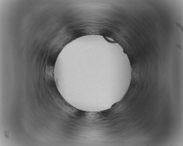 X0000102760141200809021015