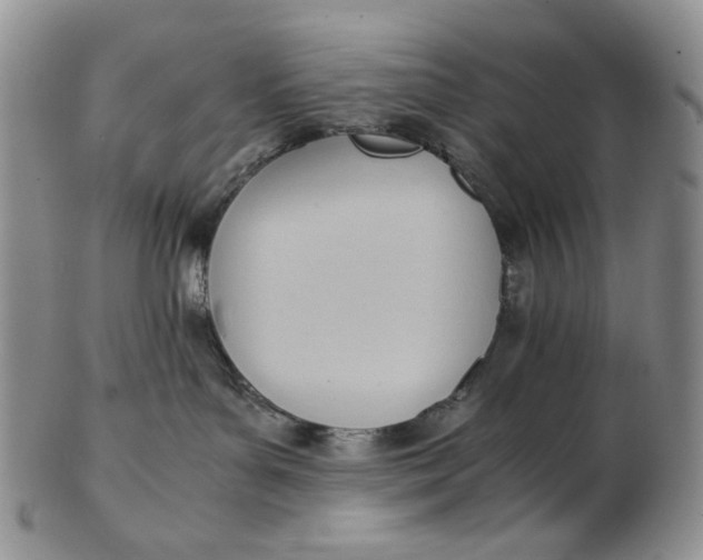 X0000102760143200809021015