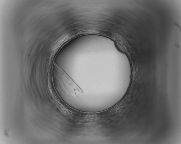 X0000102760145200809021015