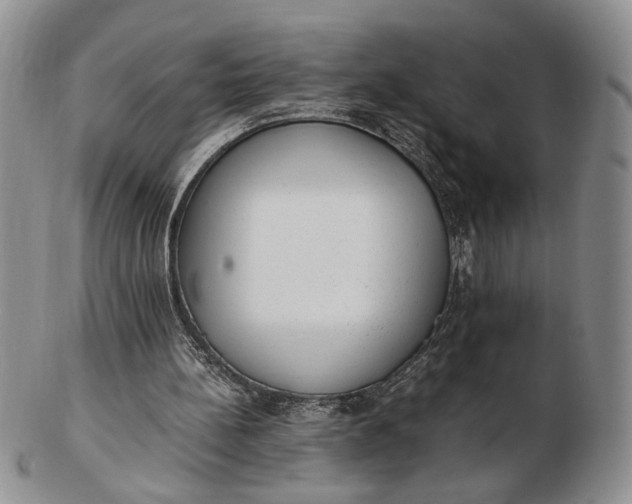 X0000102760148200809021015