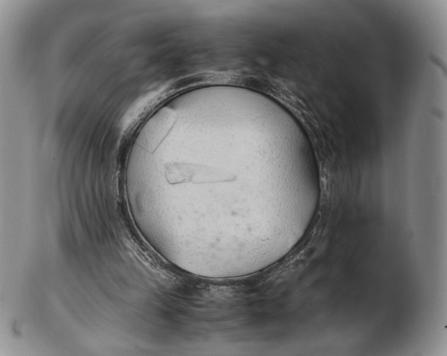 X0000102760149200809021015