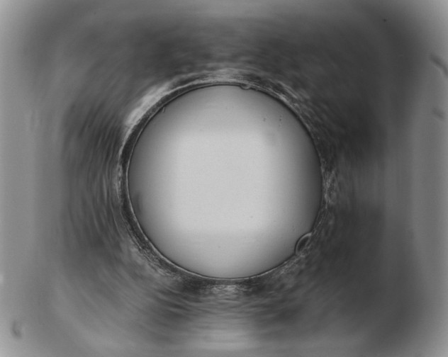 X0000102760152200809021015