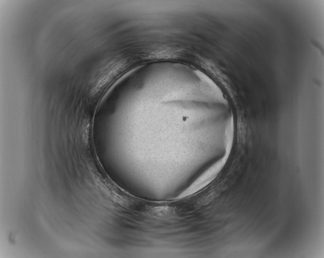 X0000102760153200809021015