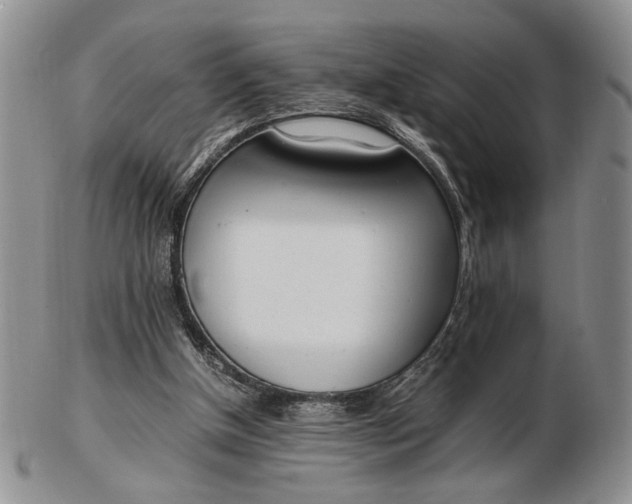 X0000102760154200809021015