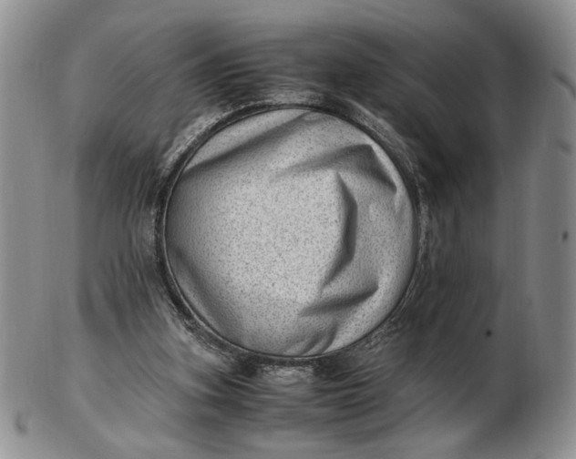 X0000102760155200809021015