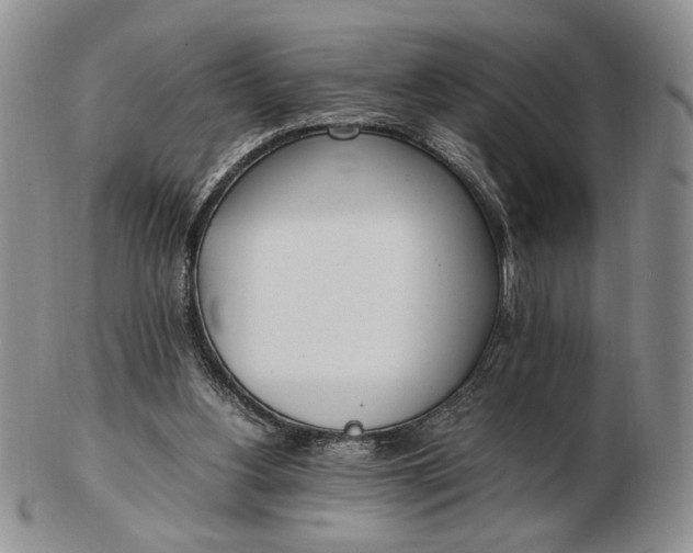 X0000102760156200809021015