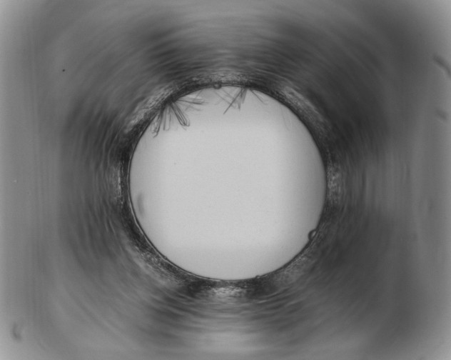 X0000102760158200809021015