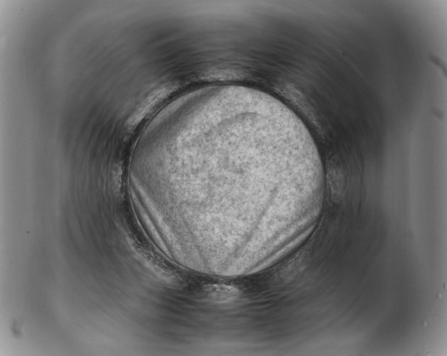 X0000102760159200809021015