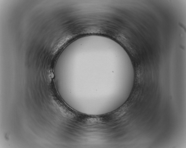 X0000102760160200809021015