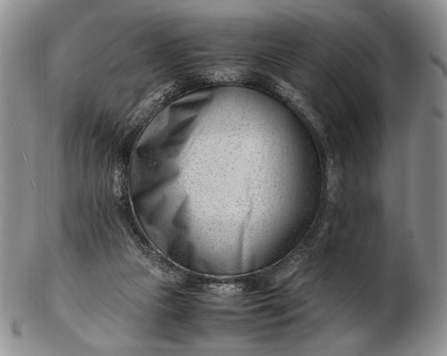 X0000102760161200809021015